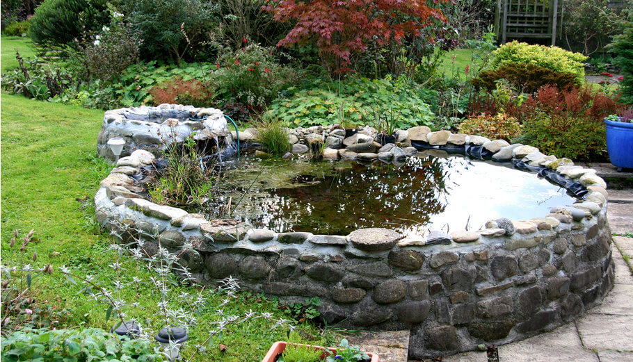 How To Drain Water From A Garden Pond